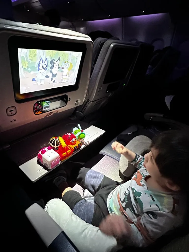 Hygiene Tips To Stay Safe During Your Flight