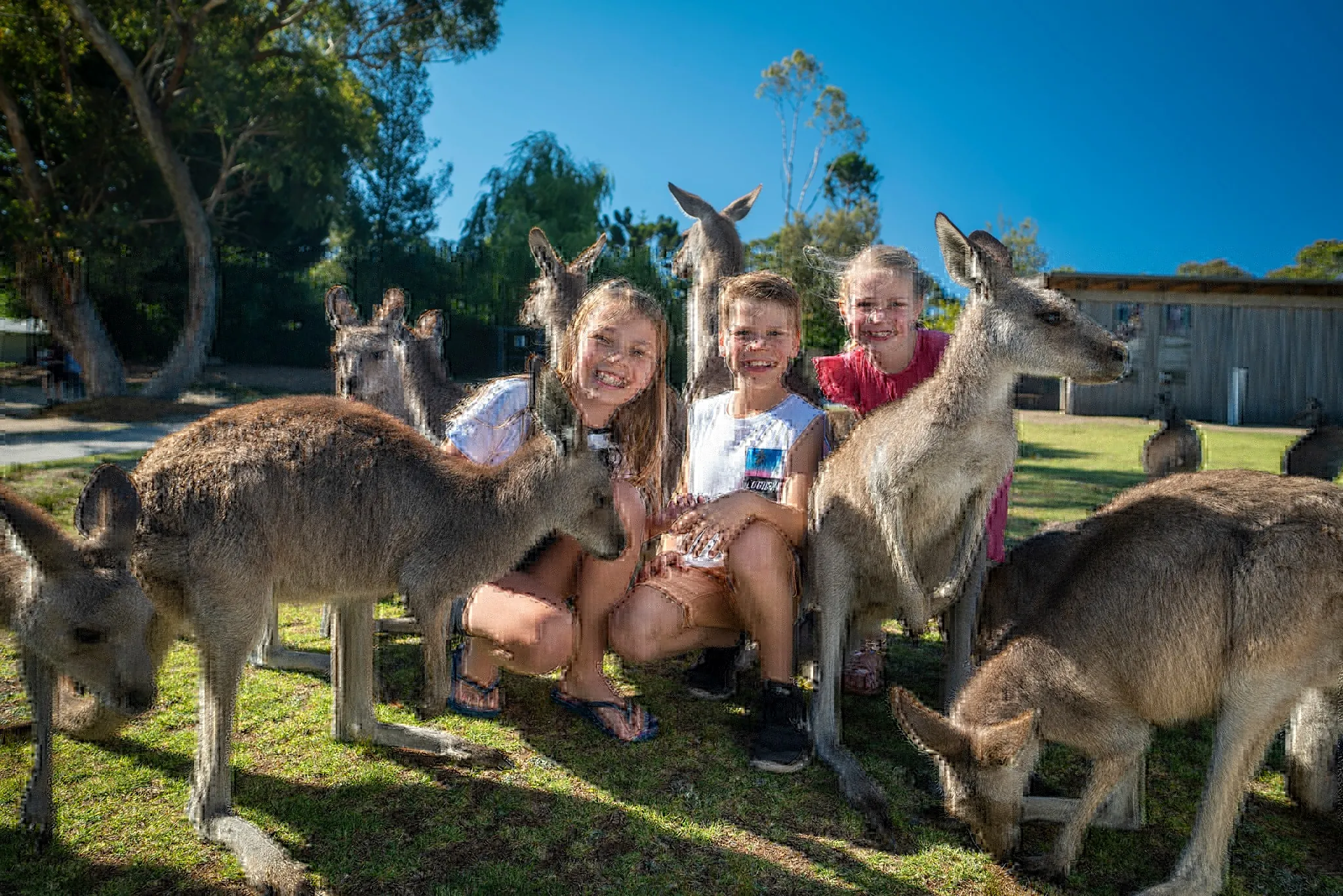 Sydney