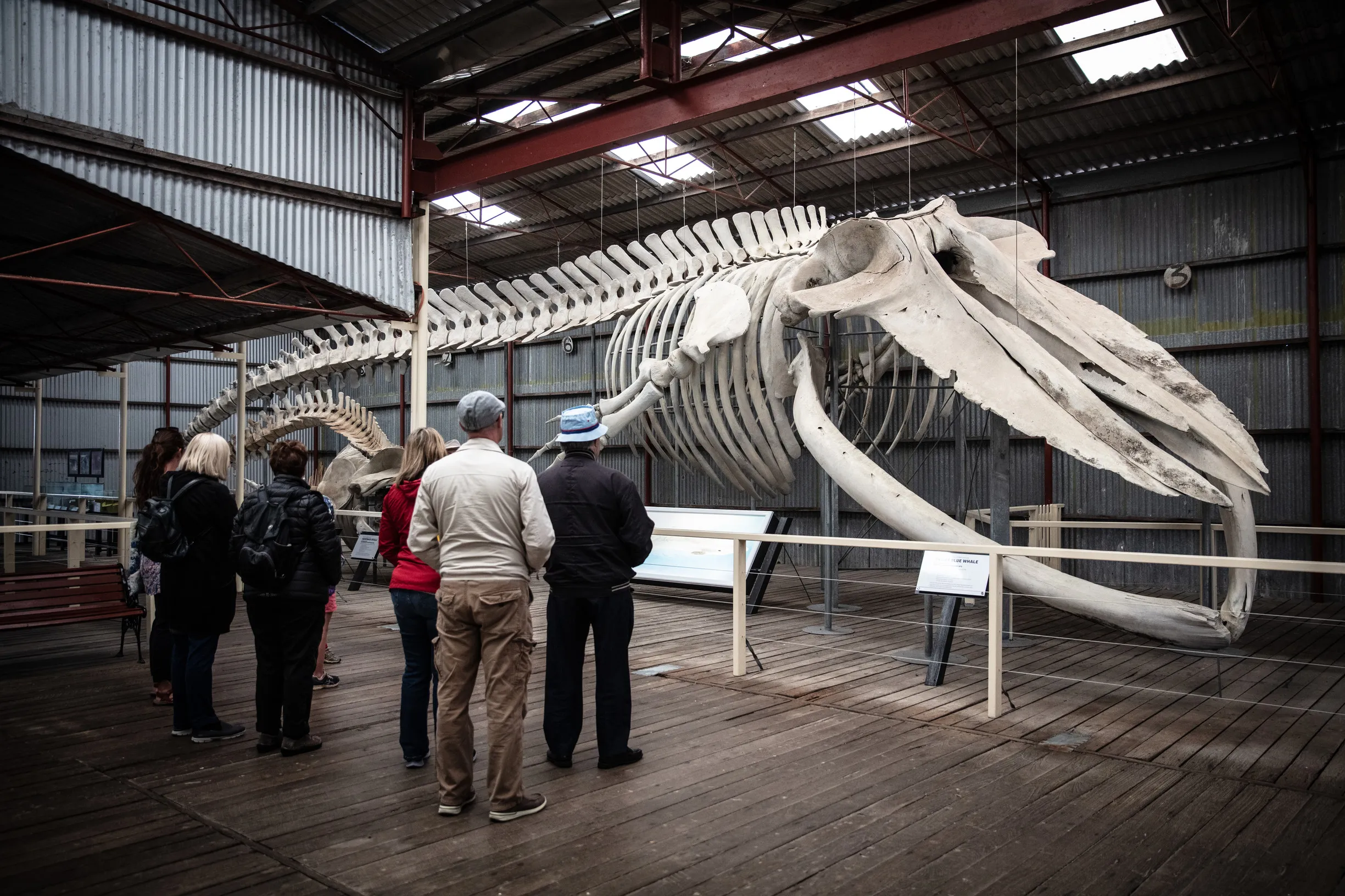 Albany Whaling Station