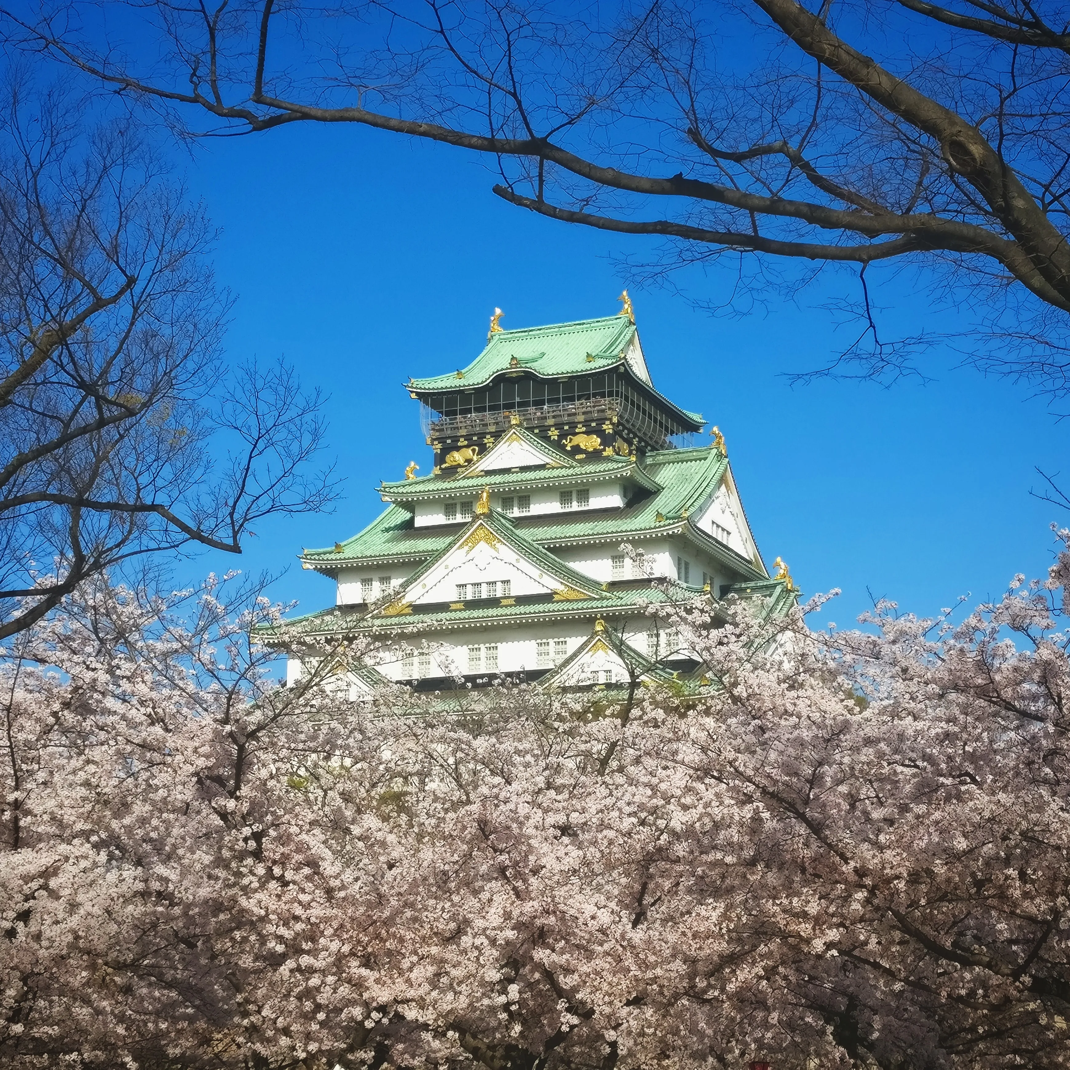 Osaka Castle Park