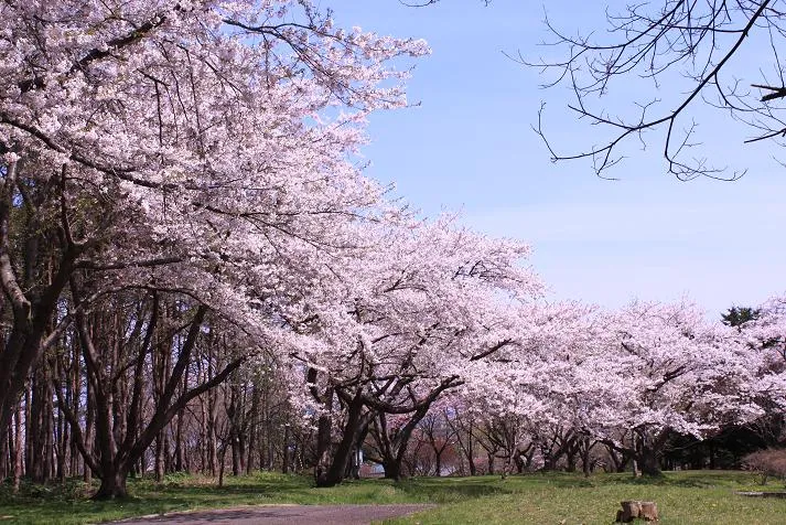 Morimachi Oniushi Park