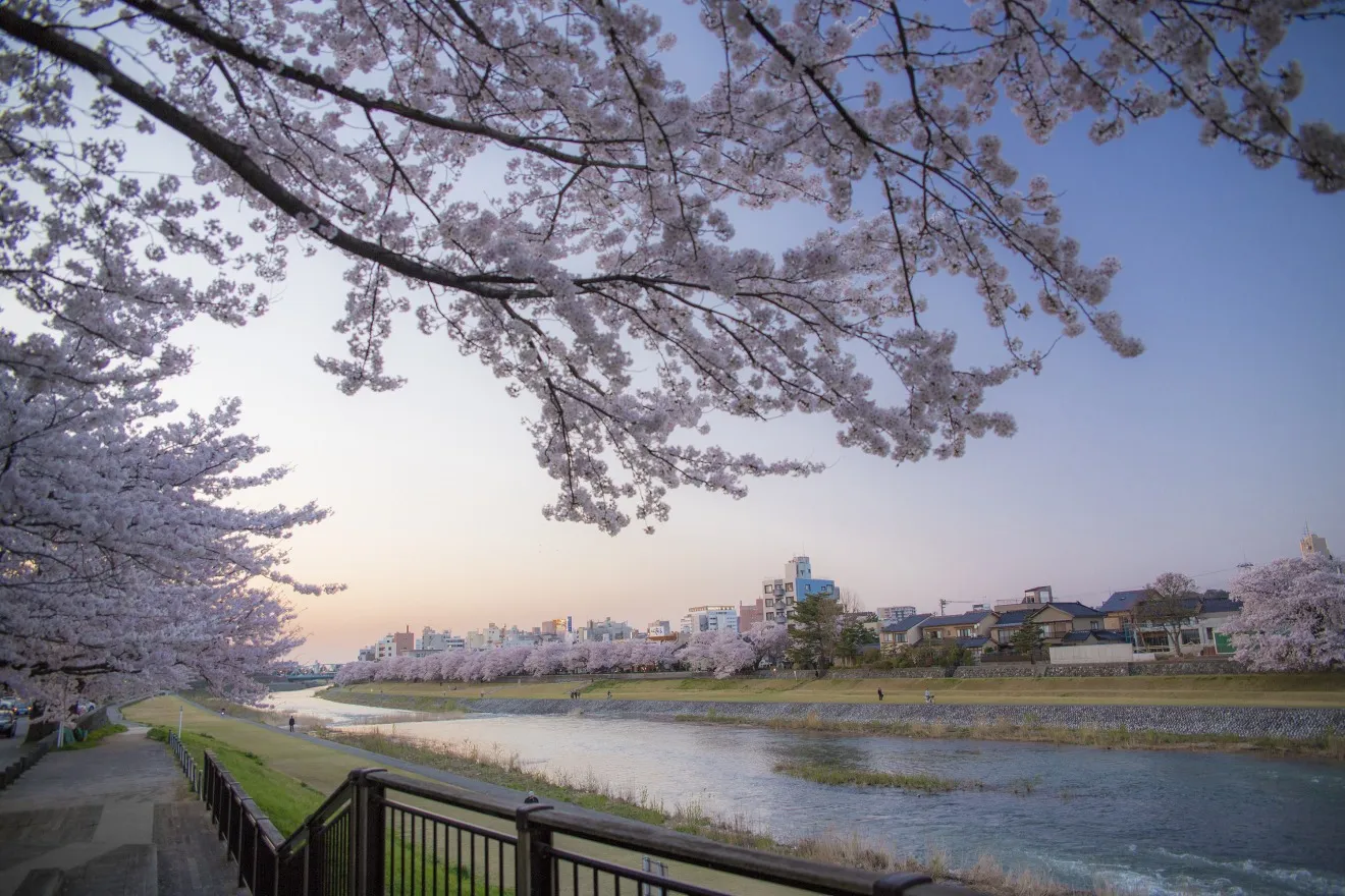 Saigawa Ryokuchi Park