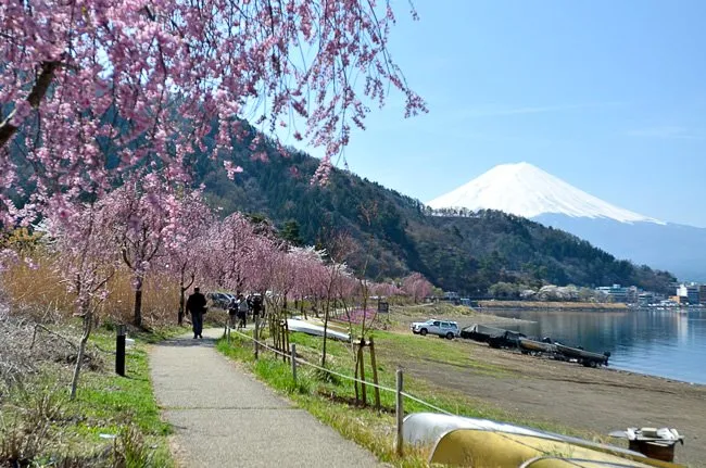The eastern shore of Kawaguchiko
