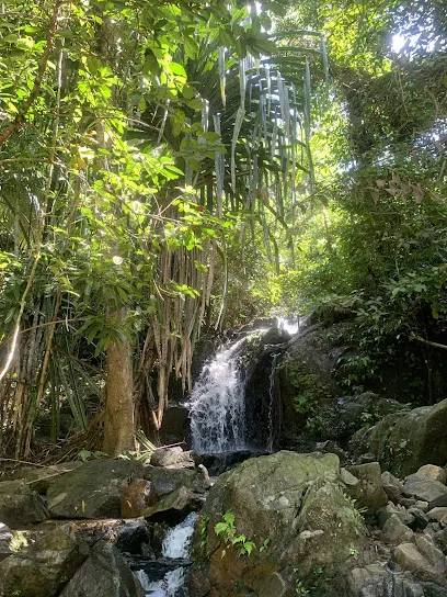 Khao Phra Thaeo Non-Hunting Area