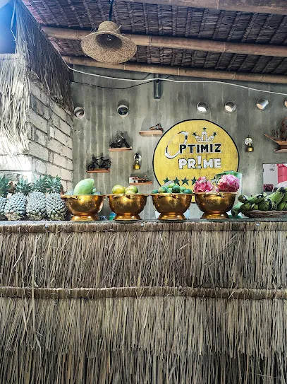 Optimiz Prime