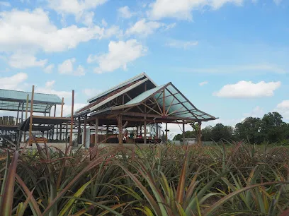 Nictar Pineapple Park