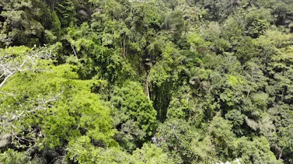 Air Terjun Jagasatru