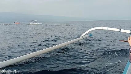 Lovina Dolphin Watching