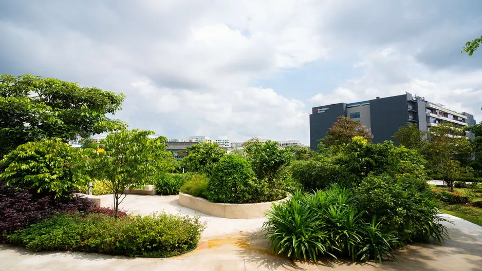 new things to do in singapore