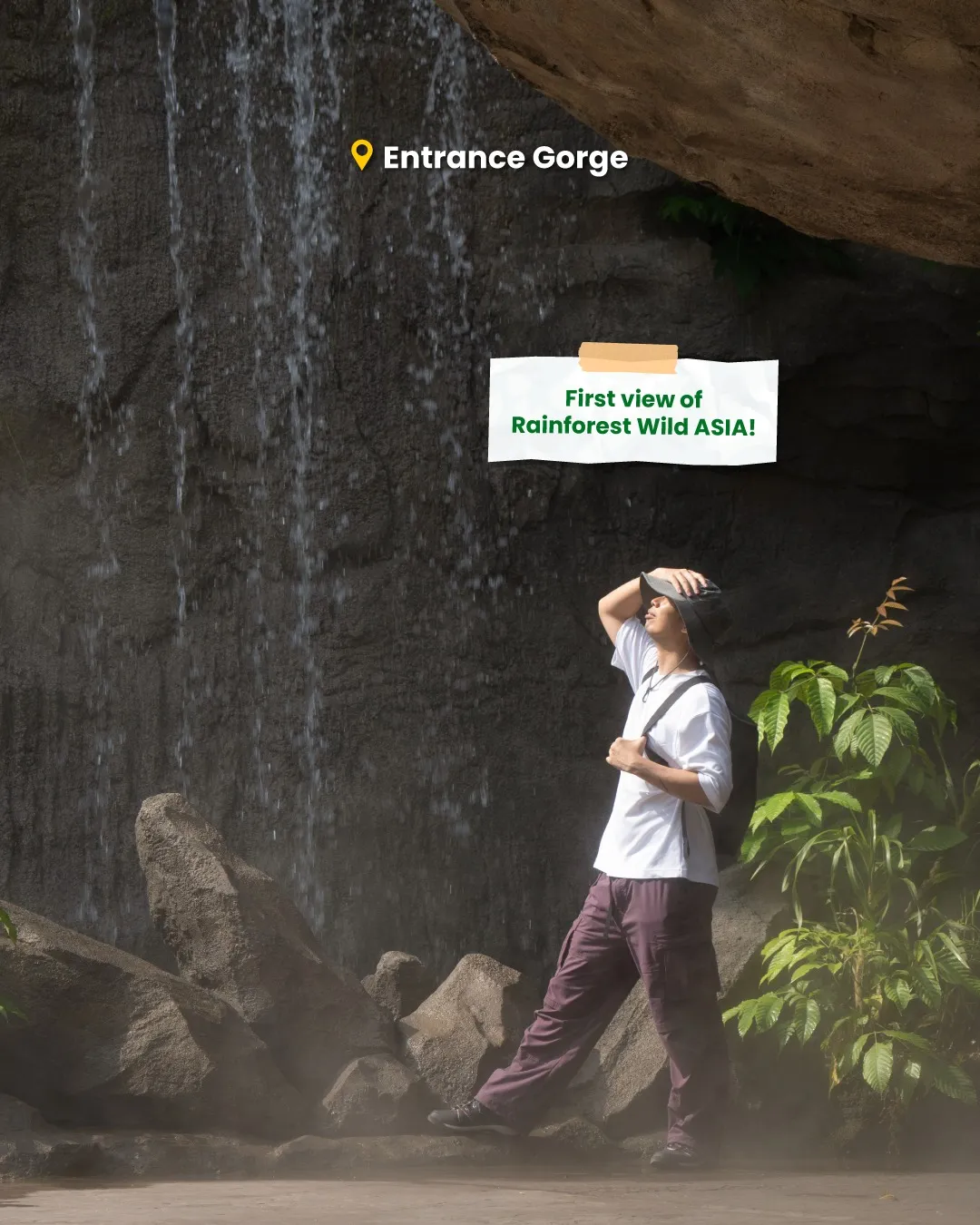 Rainforest Wild Asia Muslim Family Guide: 10 Top Singapore Attractions with Prayer Spaces