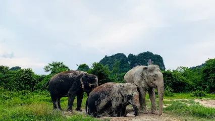 Krabi Elephant Sanctuary