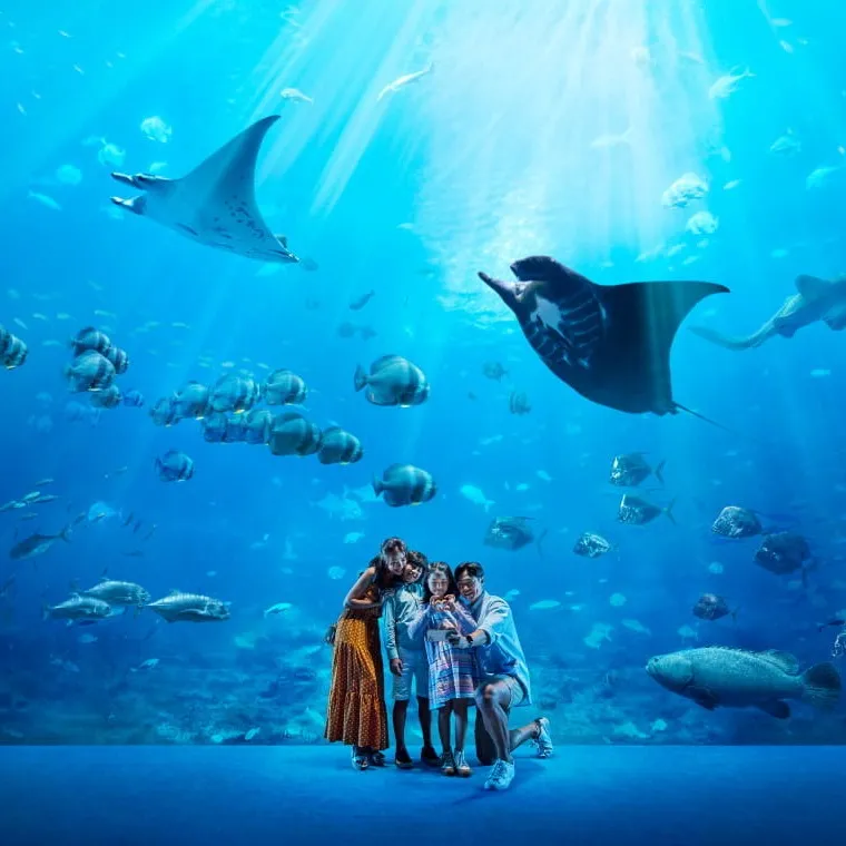 new things to do in singapore