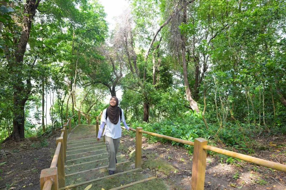 New things to do in Singapore