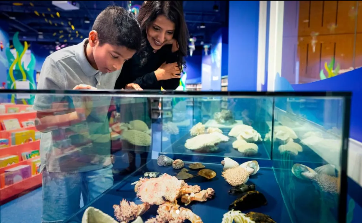 New things to do in Singapore