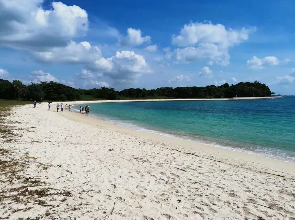 New things to do in Singapore