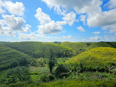 Teletubbies Hill