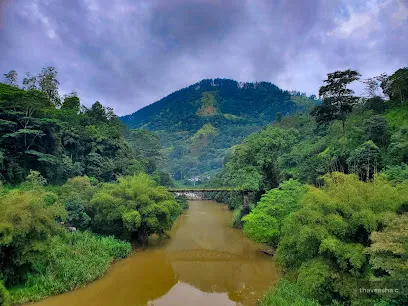 Fool'S Bridge - මෝඩයාගේ පාලම