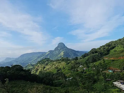 Knuckles Forest Reserve