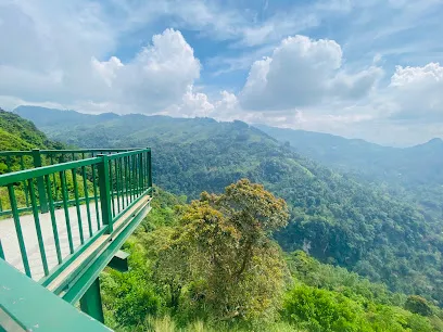 Palampitiya View Point