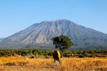 Savana Tianyar