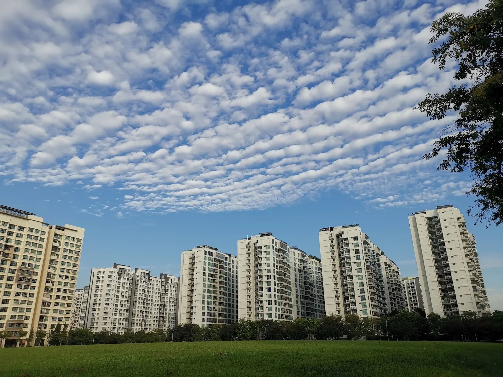 Punggol Bazaar