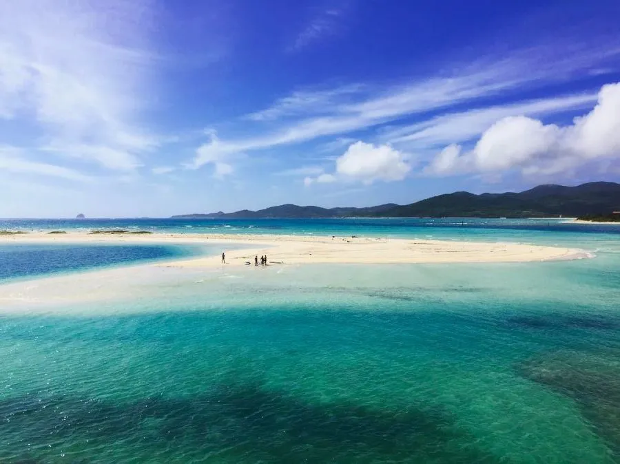 Free JAL Flights Japan