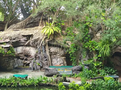 Bird Show