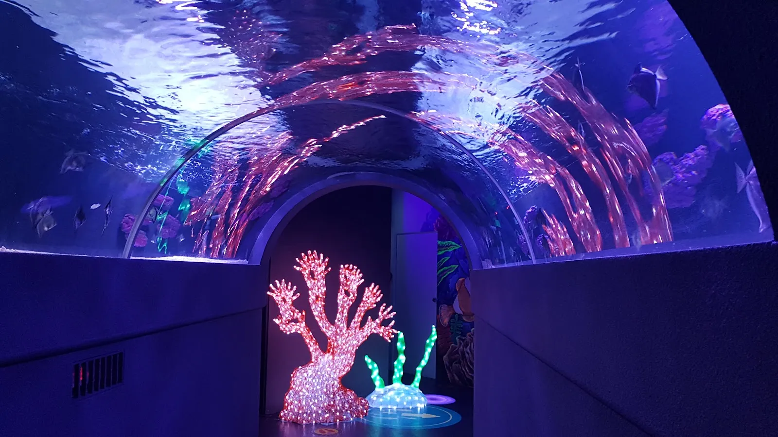 The Shore Oceanarium