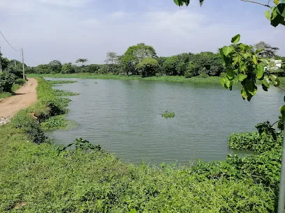 Attidiya Bird Sanctuary