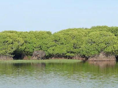 Lagoon Safari ,Pottuvil