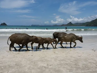 Selong Belanak Beach