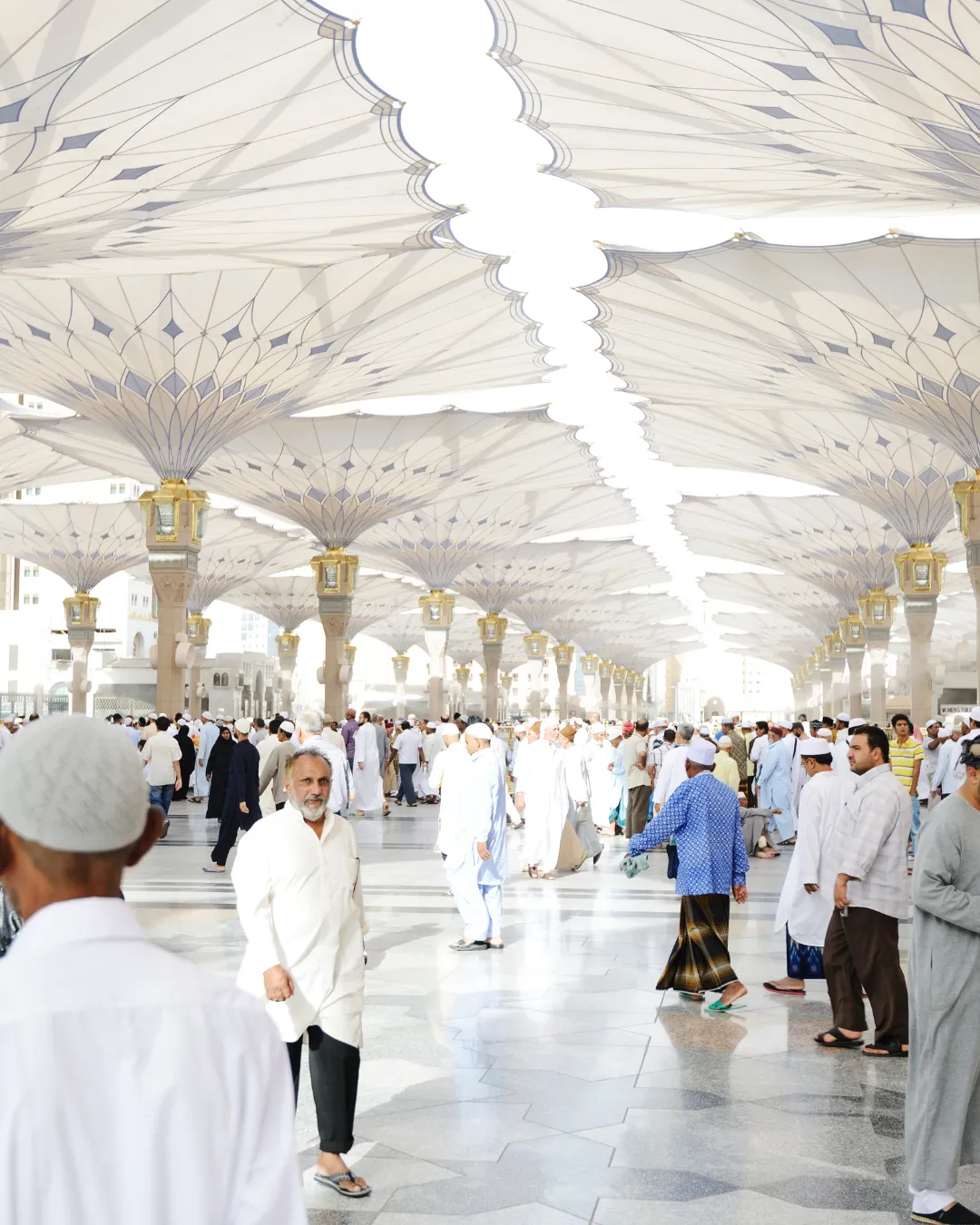 Meningococcal Risk and Prevention for umrah and hajj
