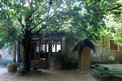 Popham'S Arboretum