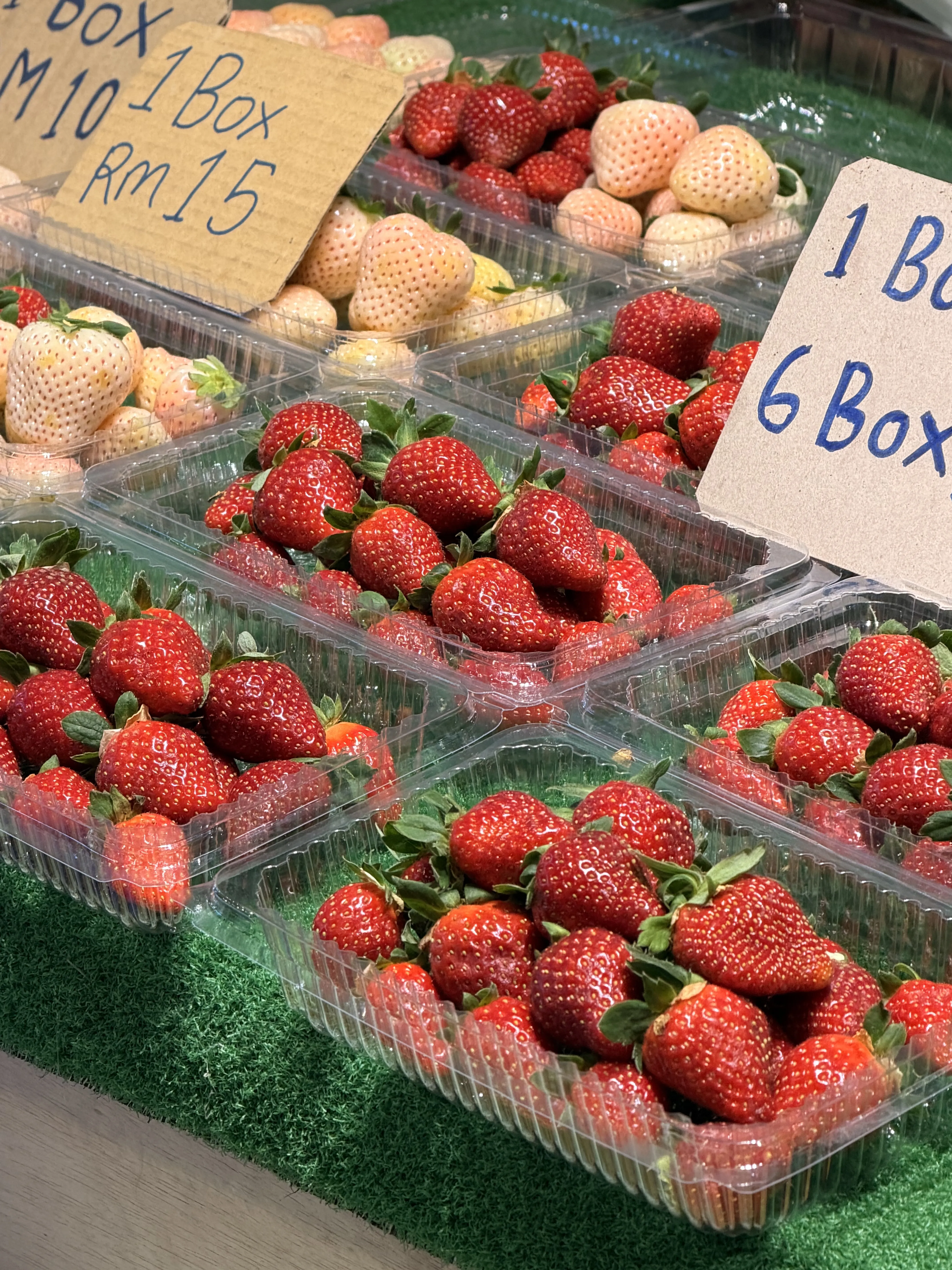 2D1N Cameron Highlands Itinerary