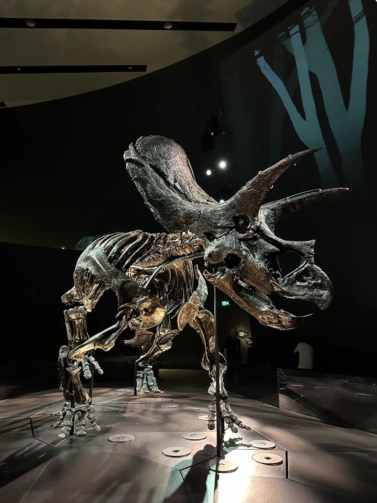 Melbourne Museum