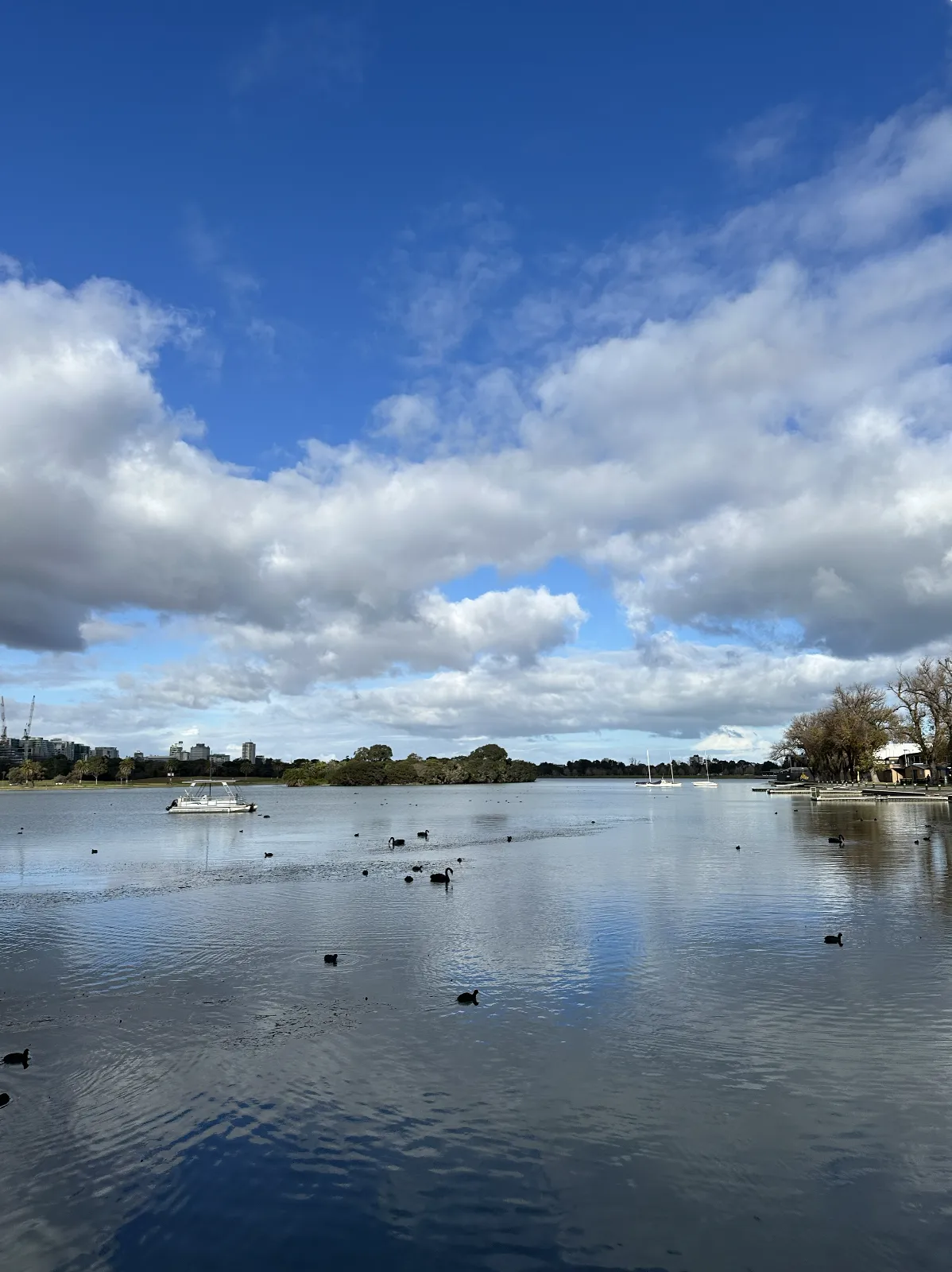 Albert Park Lake