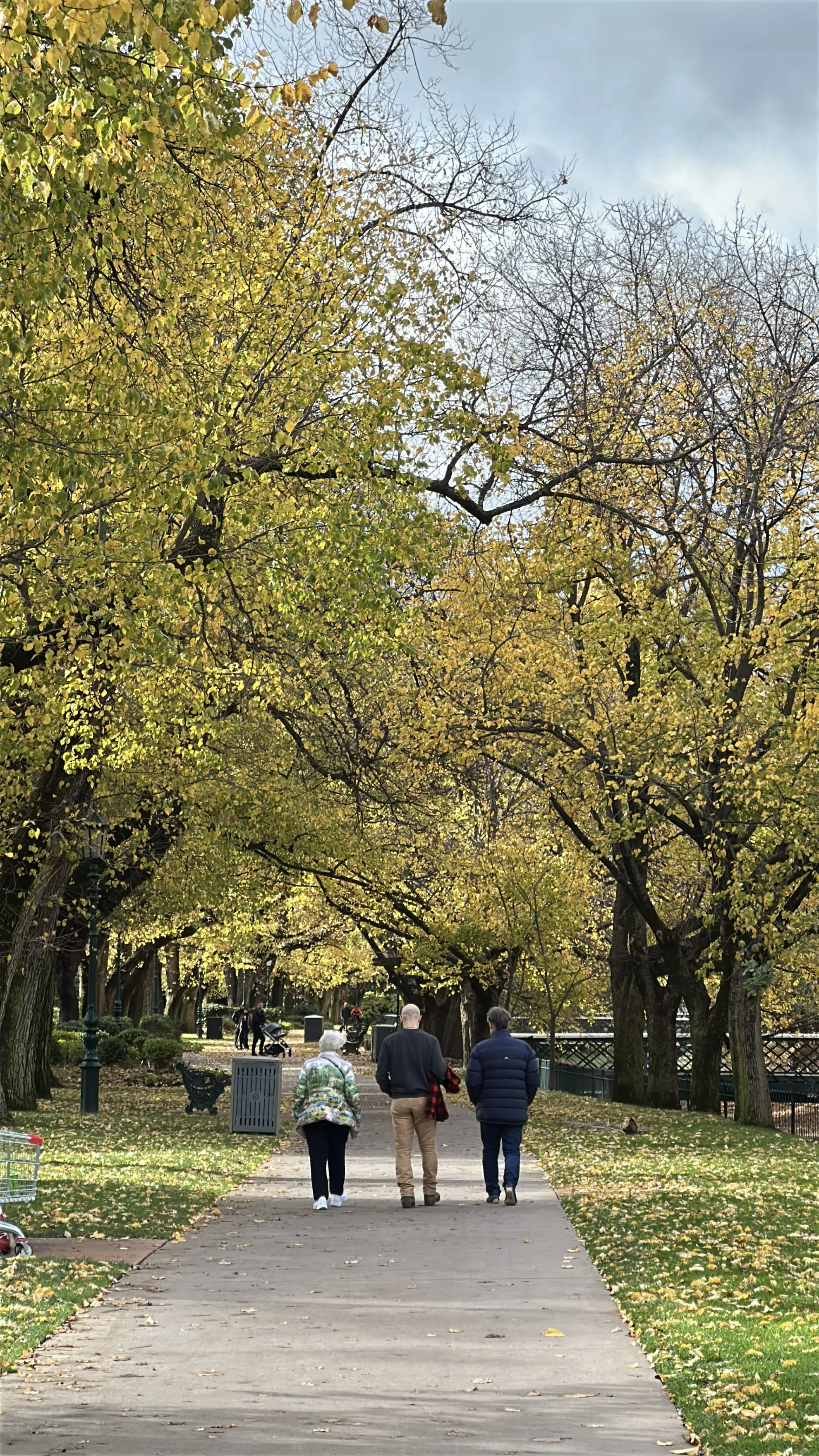 Rosalind Park