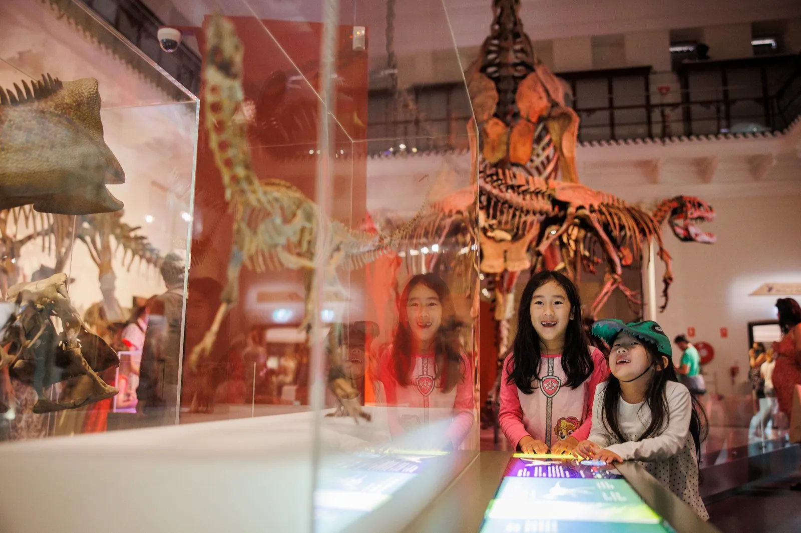 The Australian Museum