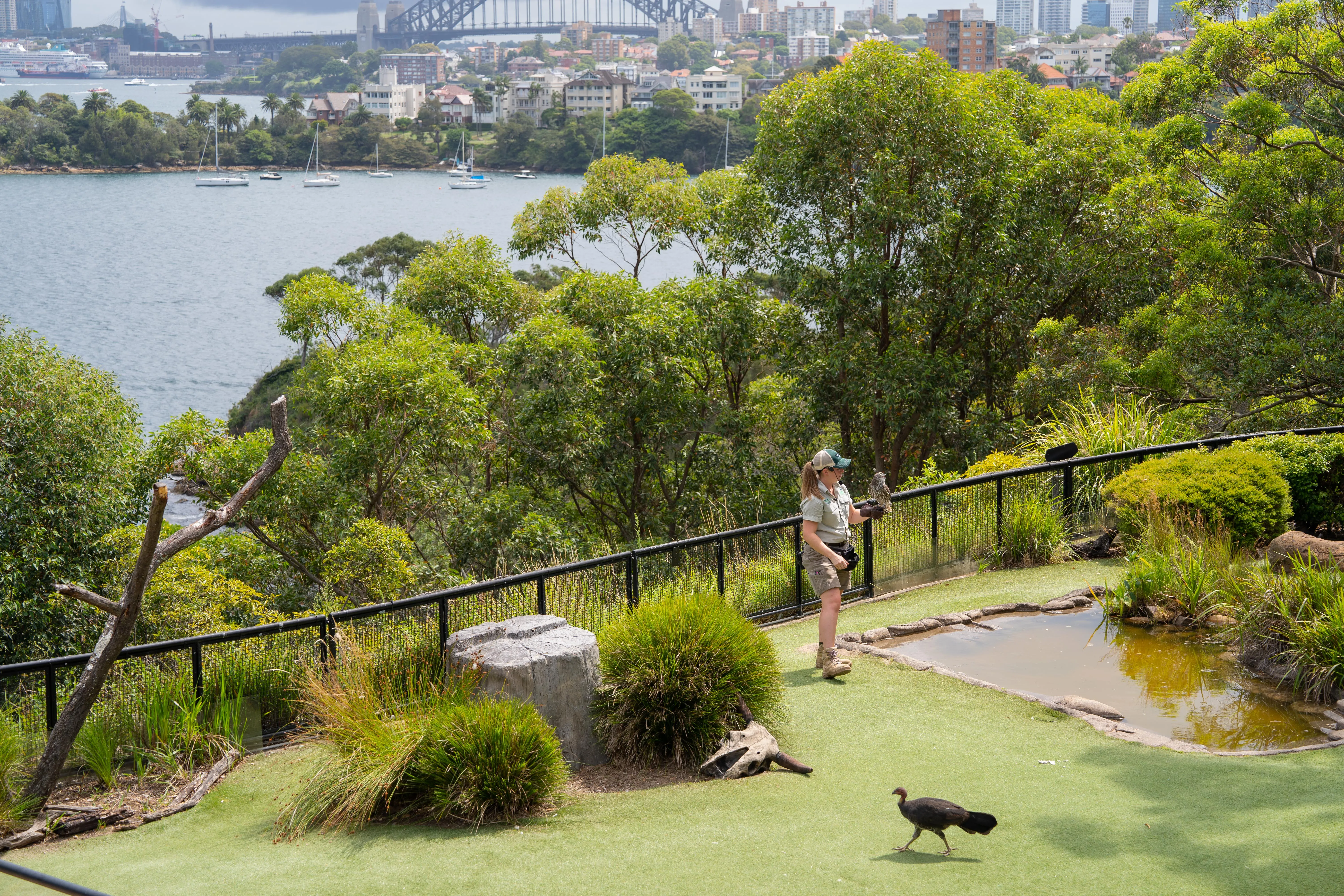 Taronga Zoo