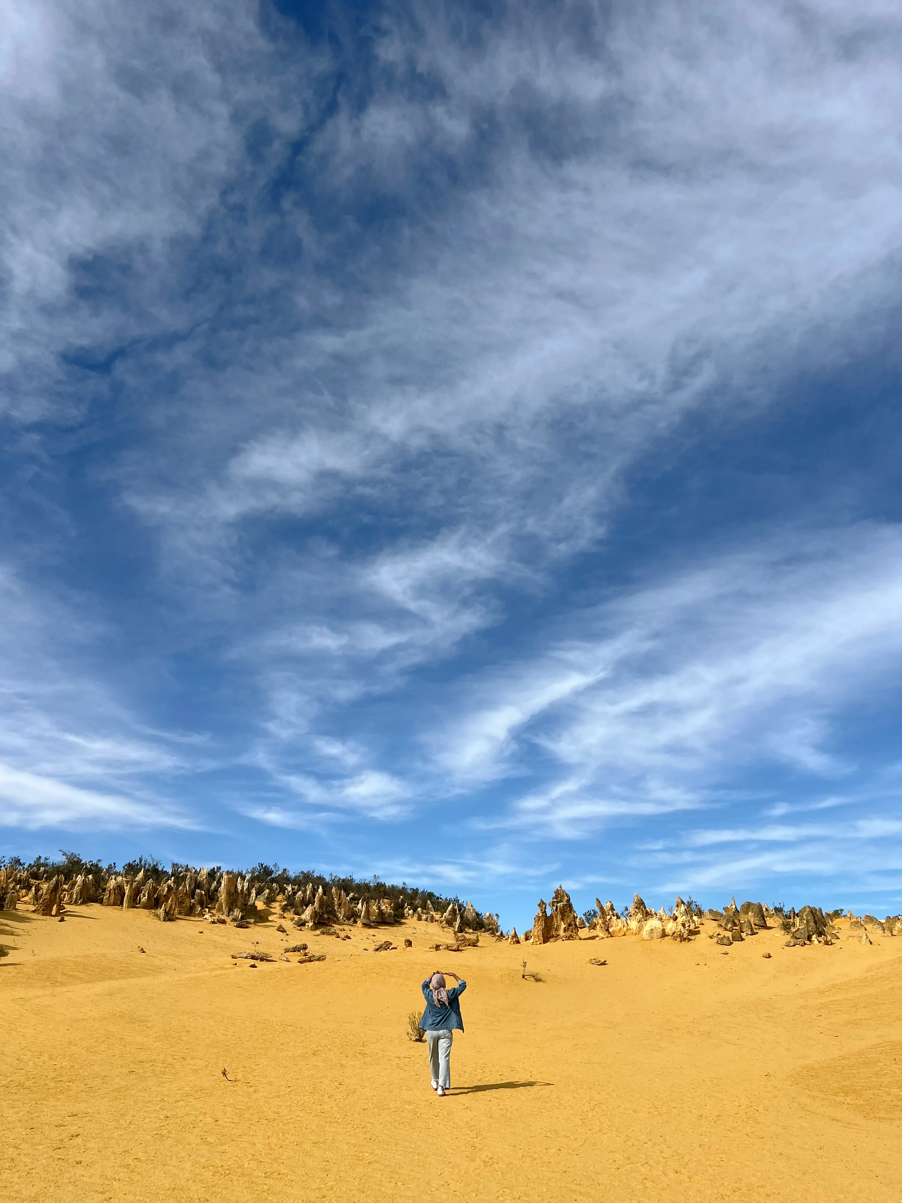 Pinnacles