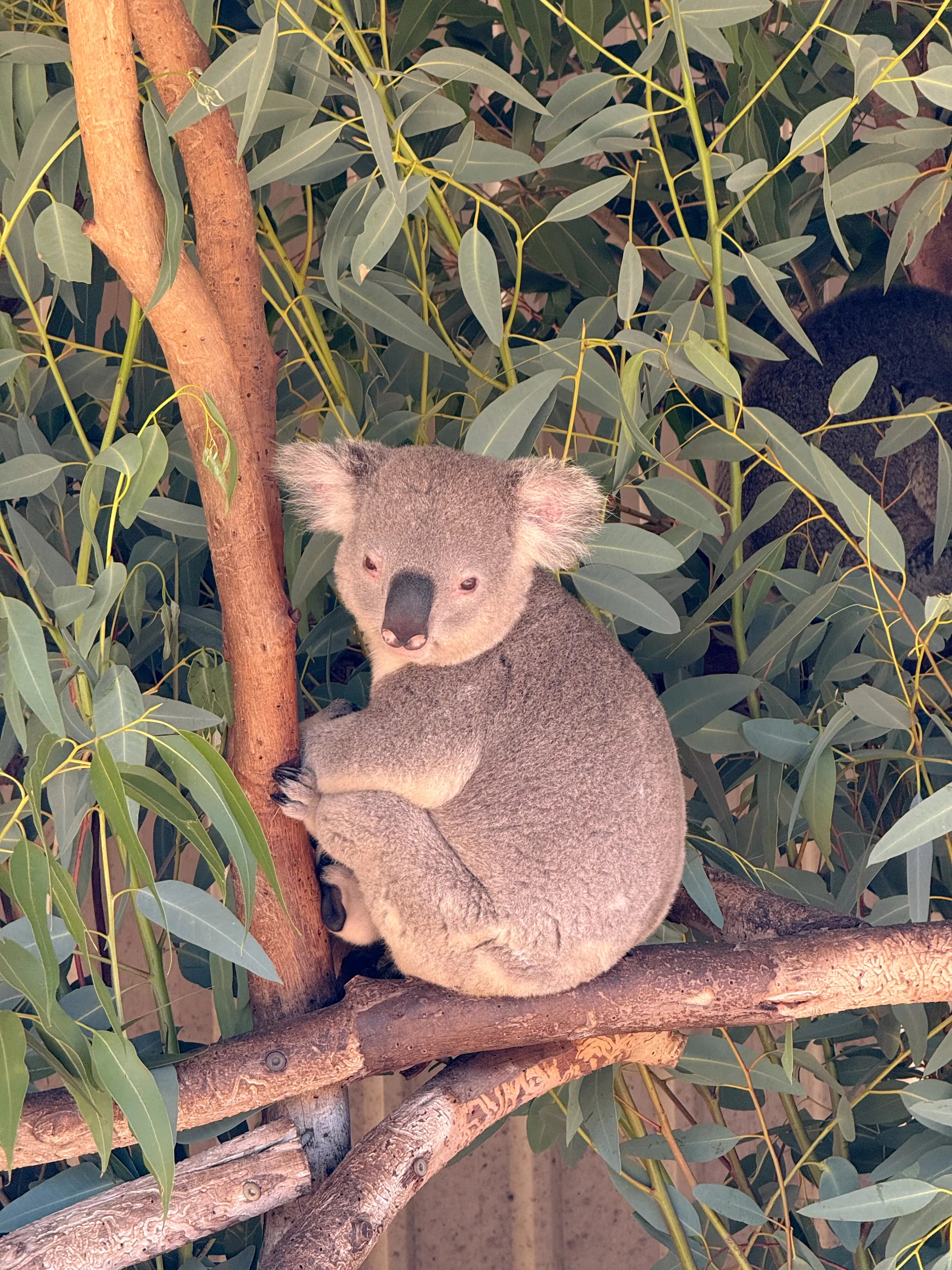 5D4N Itinerary For A Family Adventure In Perth (With New Things To Do!)