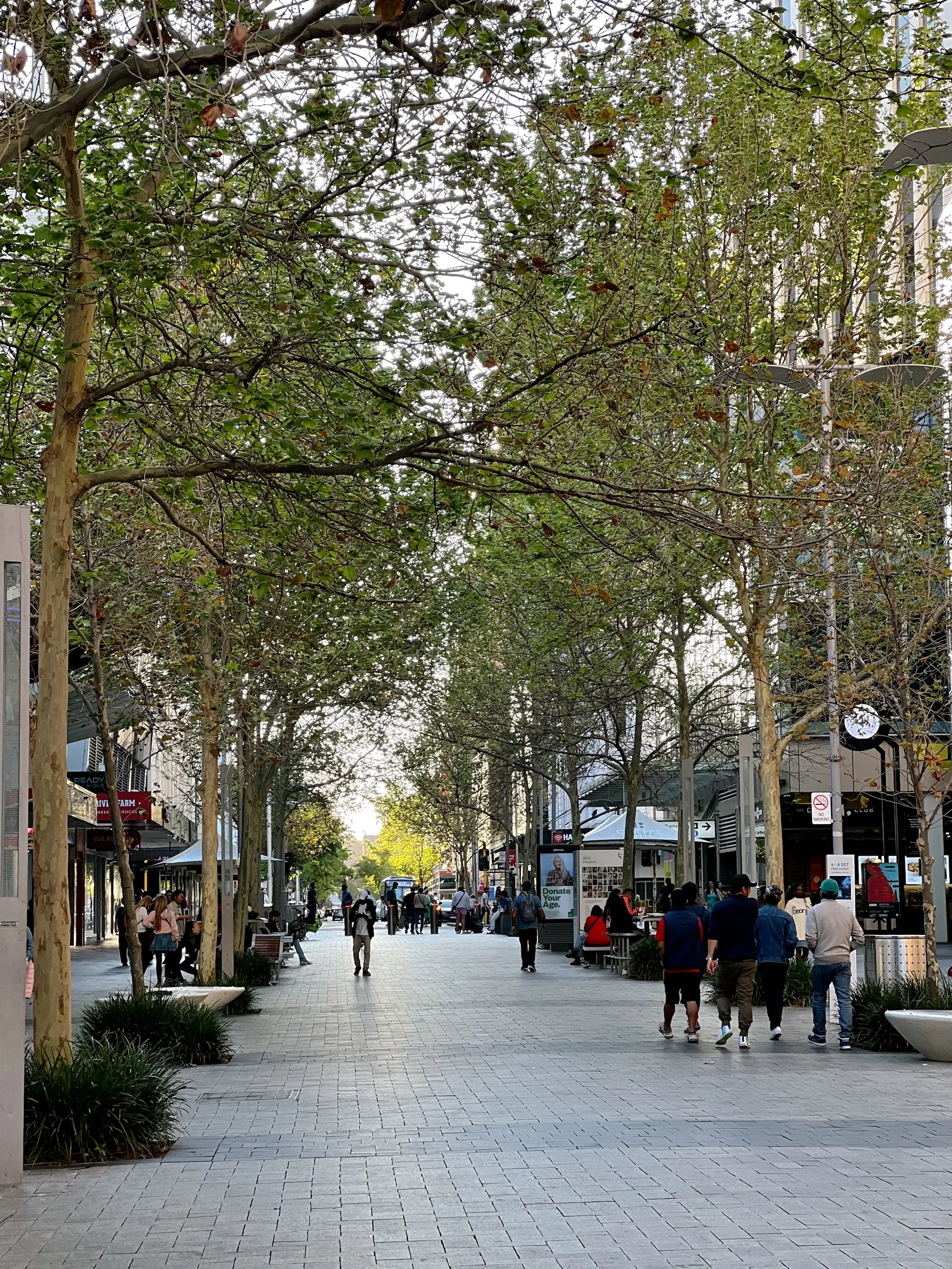 5D4N Itinerary For A Family Adventure In Perth (With New Things To Do!)
