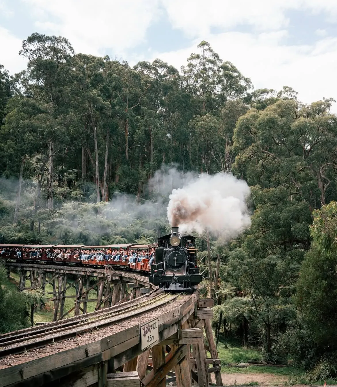 Puffing Billy Steam Railway