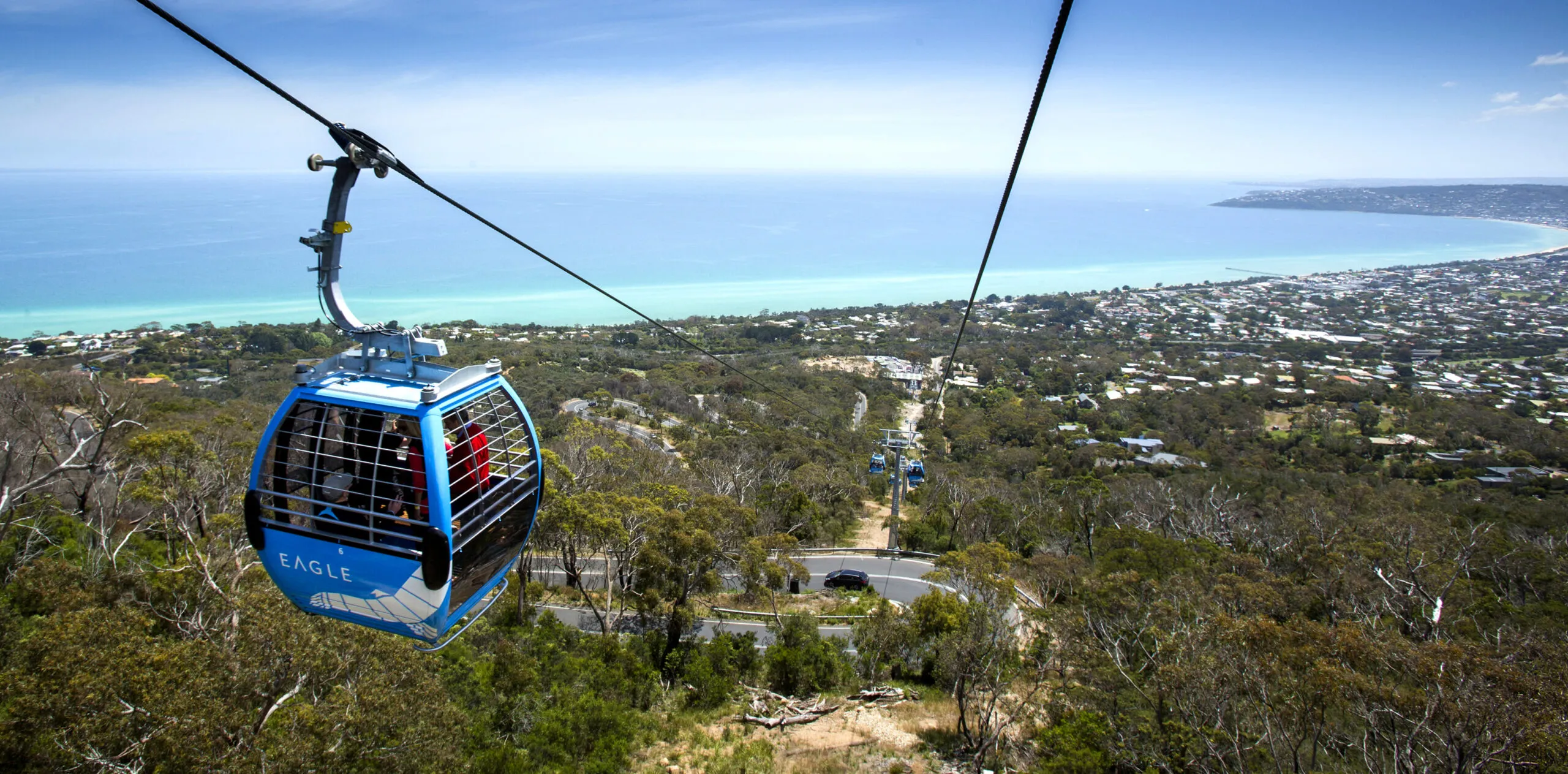 Arthurs Seat Eagle