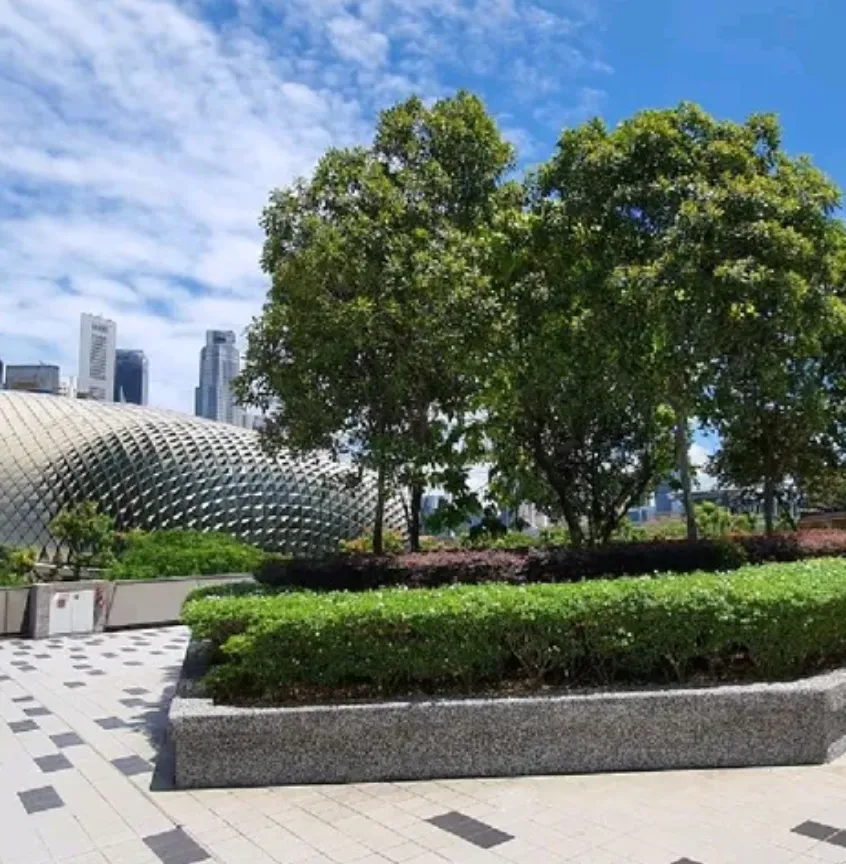 watch F1 free Singapore