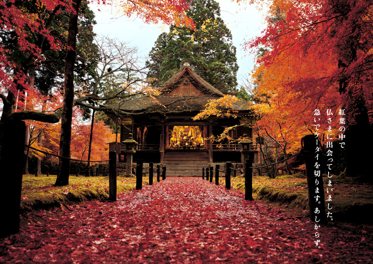 18 - sanzenin autumn koyo