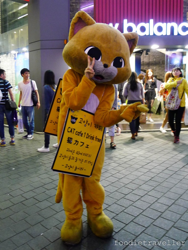 cat_cafe-myeongdong