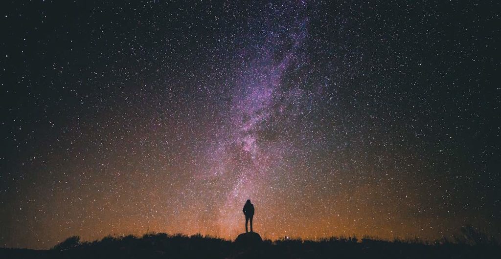 Traveller