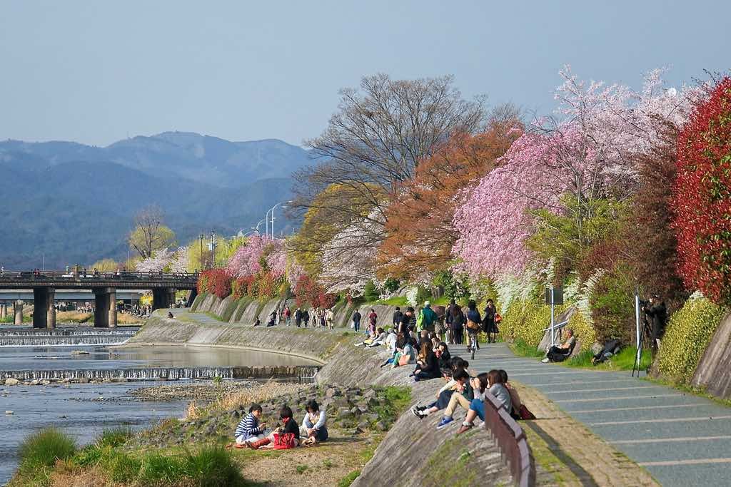 Kamogawa