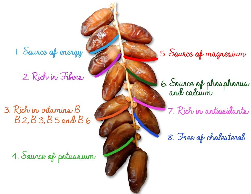 dates